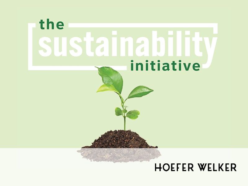 The Sustainability Initiative